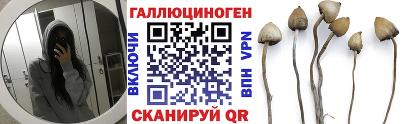 купить закладку  Нижнеудинск  Псилоцибиновые грибы Cubensis 