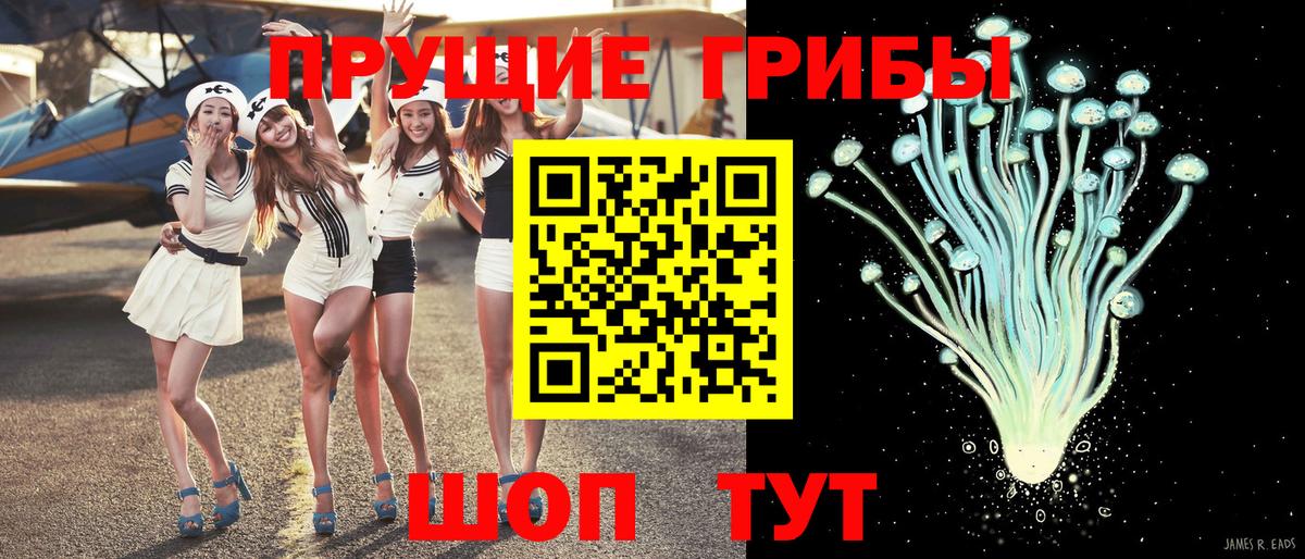 Псилоцибиновые грибы мухоморы Нижнеудинск