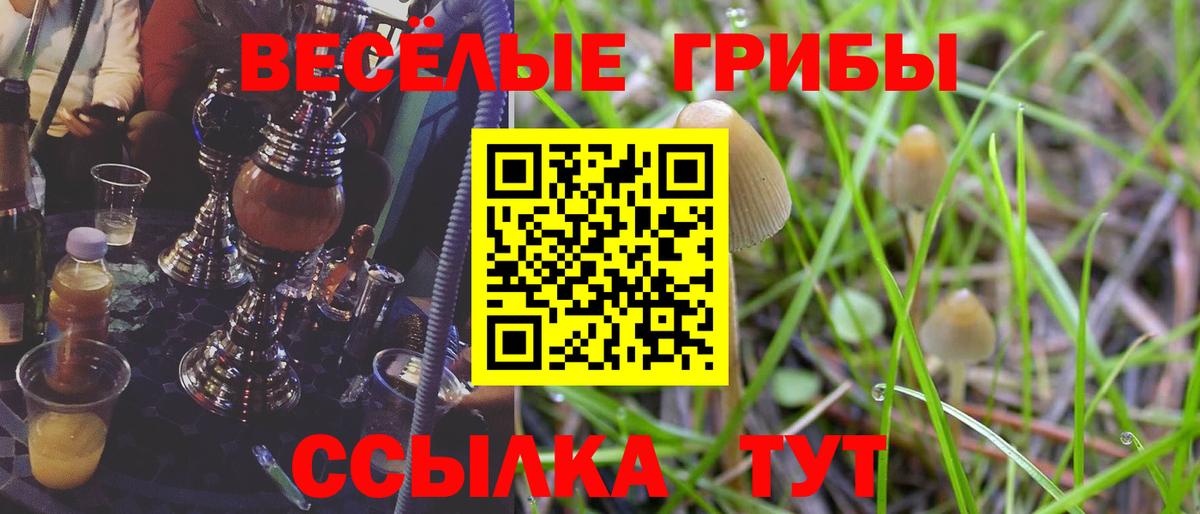 Галлюциногенные грибы мицелий  как найти закладки  Нижнеудинск 