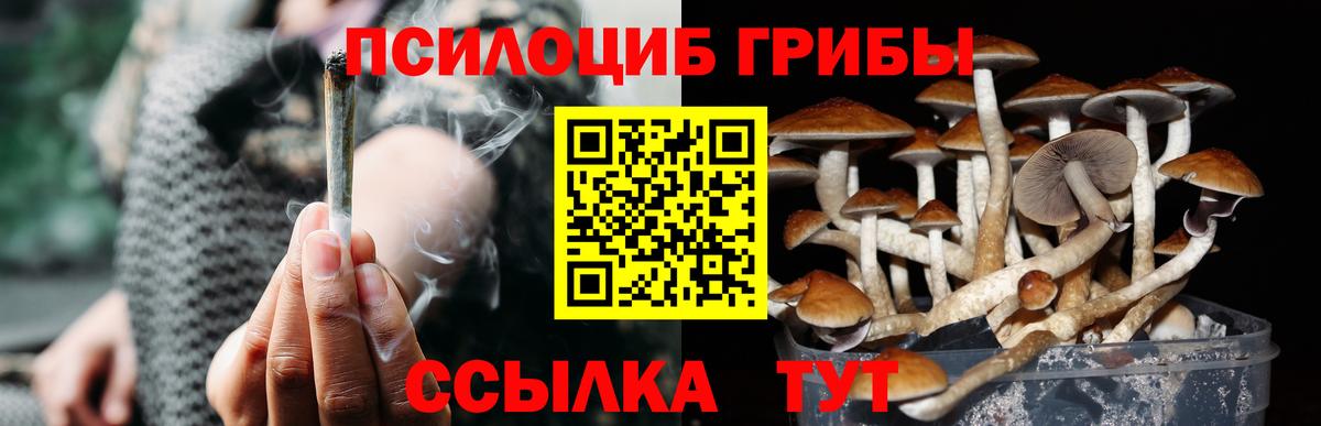 Нижнеудинск  Галлюциногенные грибы Magic Shrooms  Вход с VPN 